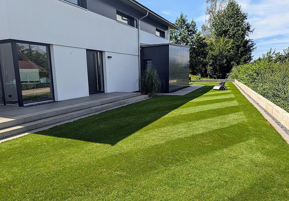 kurzer grüner Rasen