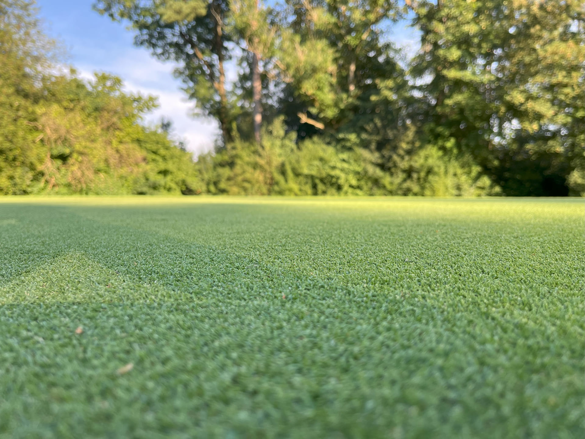 Golfgrün